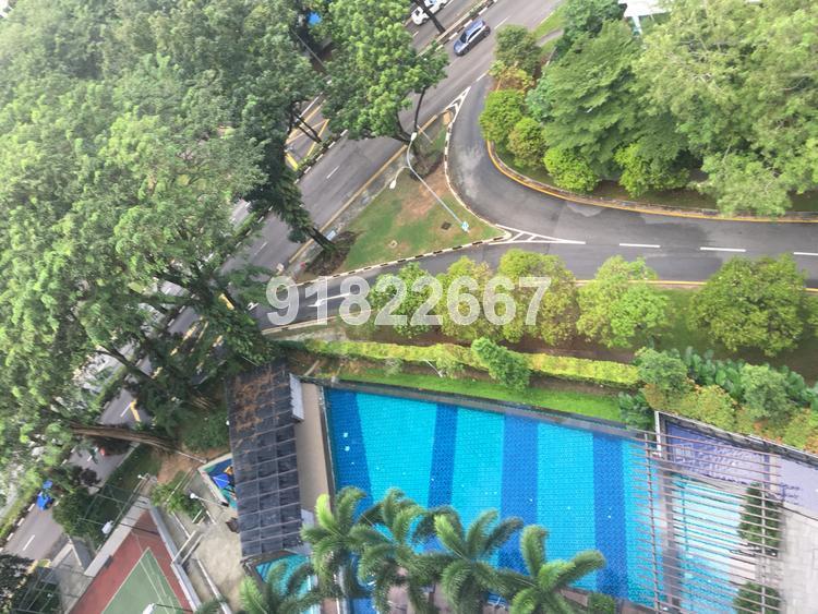 The Solitaire (D10), Condominium #114986902
